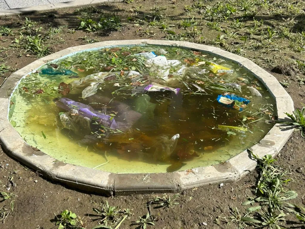 „Proiect” de Constanța: „Ligheanul” destinat deșeurilor care n-au unde să plutească atunci când NU plouă – foto 3