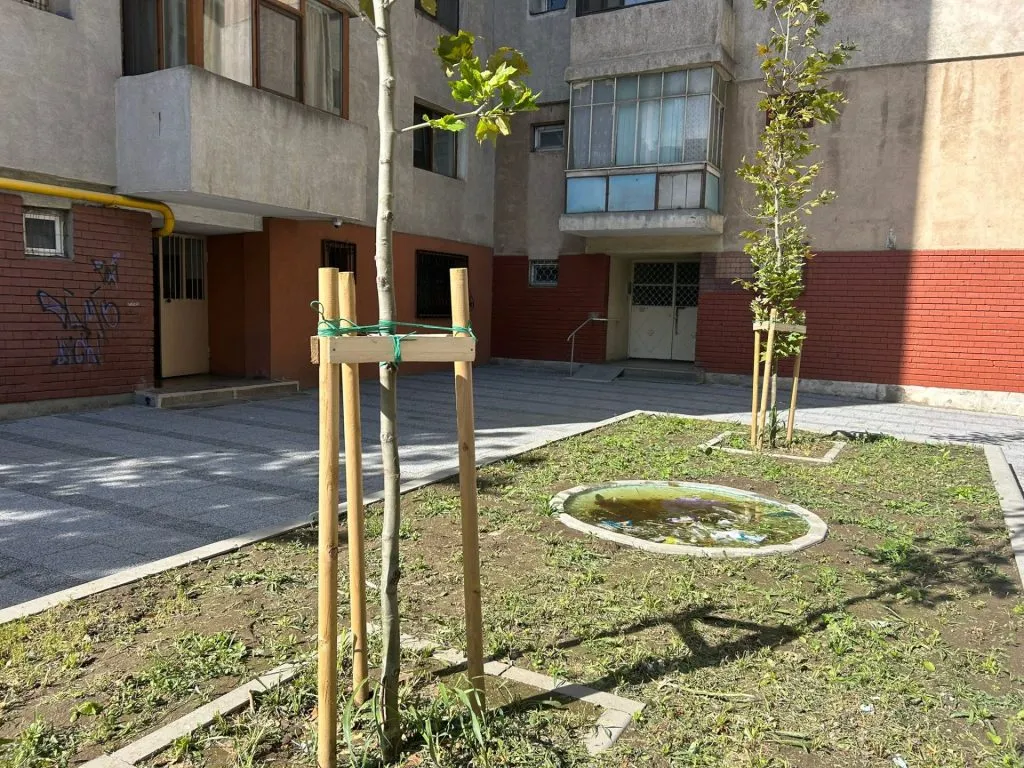„Proiect” de Constanța: „Ligheanul” destinat deșeurilor care n-au unde să plutească atunci când NU plouă – foto 8