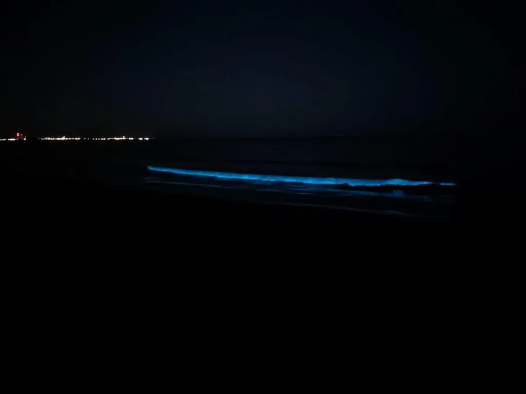 Spectacolul naturii, la malul mării: Bioluminiscența (FOTO) – foto 2