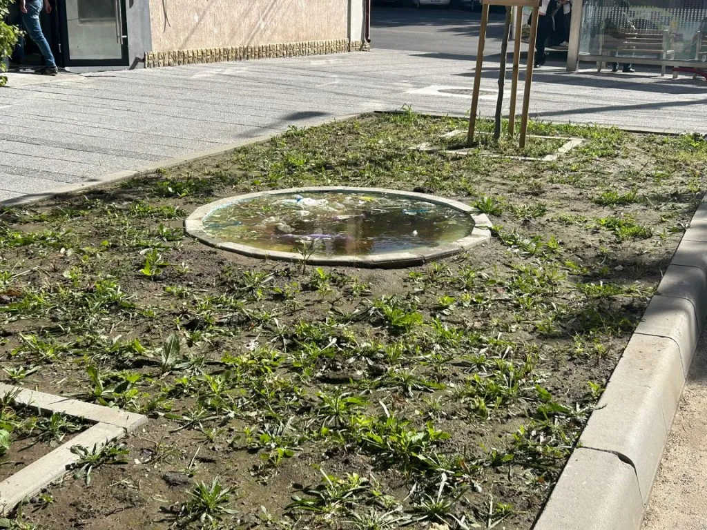 „Proiect” de Constanța: „Ligheanul” destinat deșeurilor care n-au unde să plutească atunci când NU plouă – foto 2