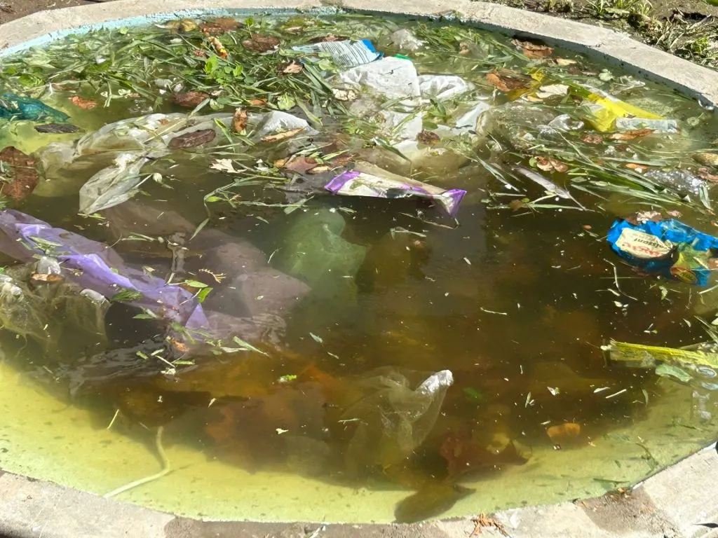 „Proiect” de Constanța: „Ligheanul” destinat deșeurilor care n-au unde să plutească atunci când NU plouă – foto 4