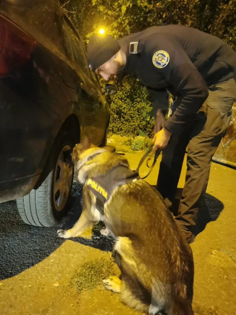 Razie de amploare în Constanța! Peste 170 de șoferi, testați cu aparatul etilotest – foto 2
