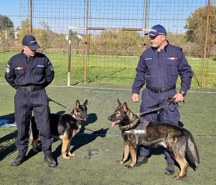 Jandarmii au făcut show la școala altfel. Copiii, fascinați de simpaticii Rex și Reea – foto 4