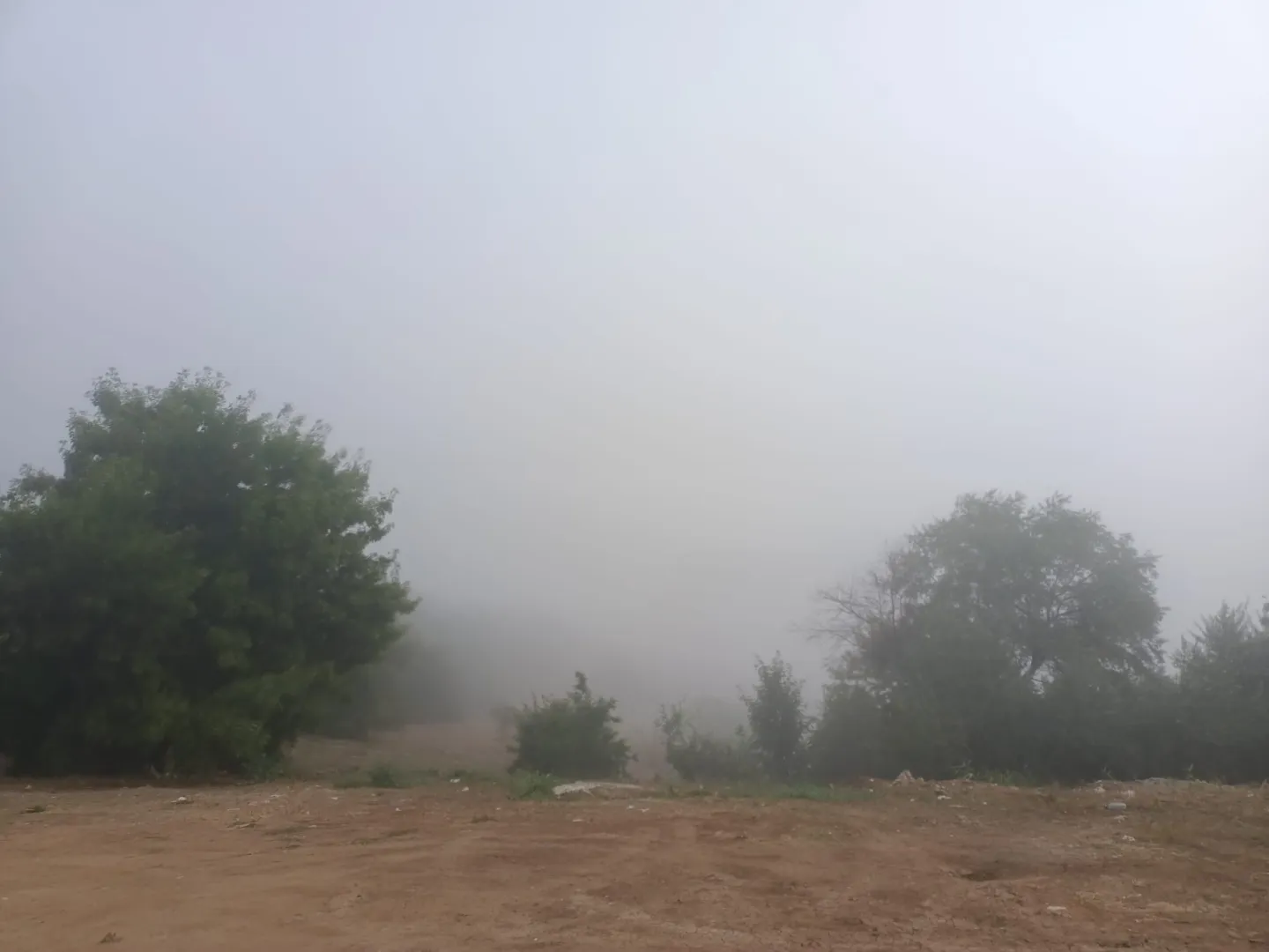 Cod galben de ceață în Dobrogea