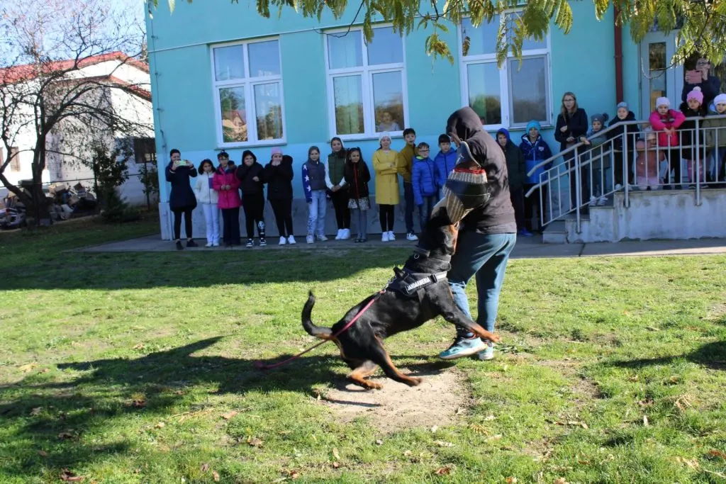 Copiii, bucuroși să cunoască câinii Jandarmeriei Tulcea (Foto) – foto 3
