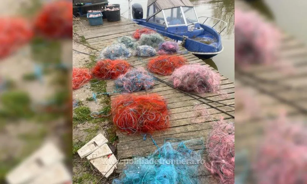 Un sfert de tonă de peşte şi 900 metri de plase, scoase din Lacul Razim de poliţiştii de frontieră (FOTO/VIDEO) – foto 2
