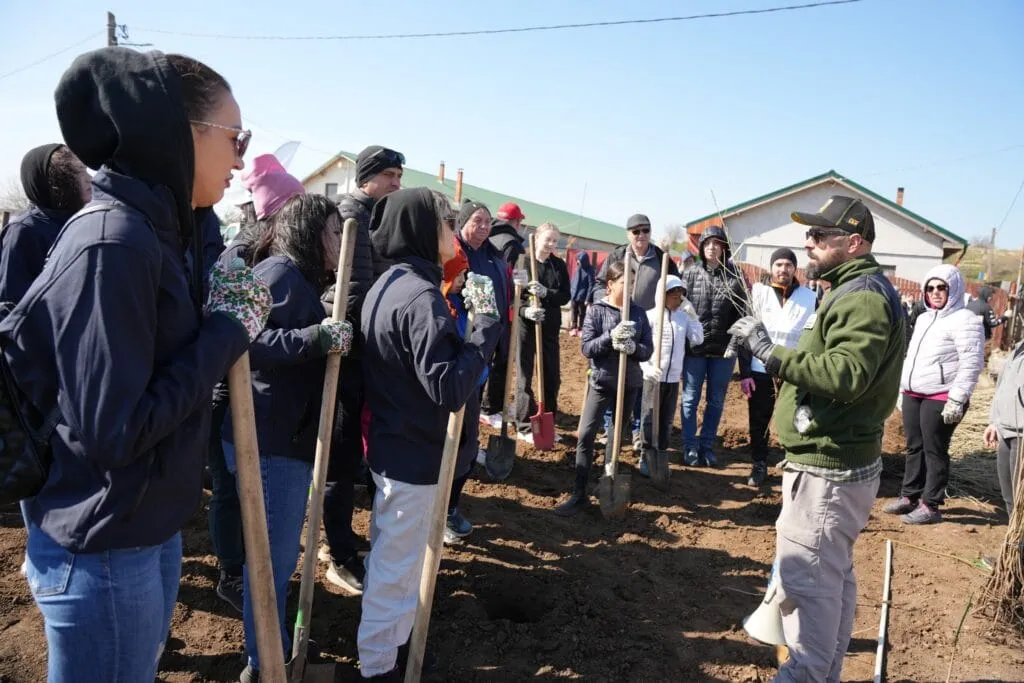 (GALERIE FOTO) Aproape 150 de voluntari cumpăneni au participat sâmbătă la o acțiune de plantare și ecologizare – foto 4