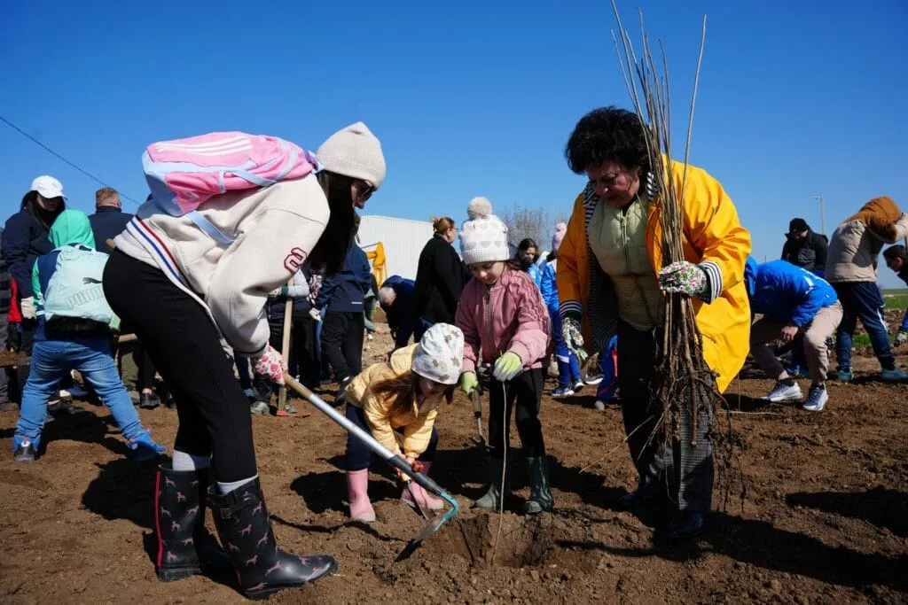 (GALERIE FOTO) Aproape 150 de voluntari cumpăneni au participat sâmbătă la o acțiune de plantare și ecologizare – foto 5