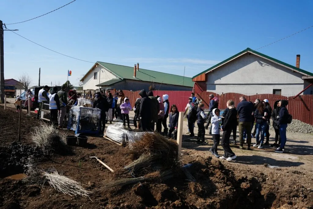 (GALERIE FOTO) Aproape 150 de voluntari cumpăneni au participat sâmbătă la o acțiune de plantare și ecologizare – foto 3