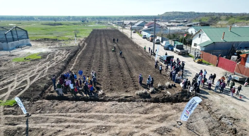 (GALERIE FOTO) Aproape 150 de voluntari cumpăneni au participat sâmbătă la o acțiune de plantare și ecologizare – foto 2