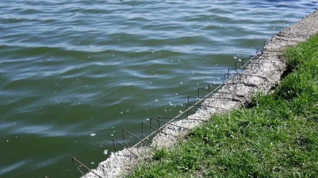 Parcul Tăbăcărie, „aproape gata” după un an și jumătate de lucrări. Realitatea LOR vs Realitatea NOASTRĂ – foto 13