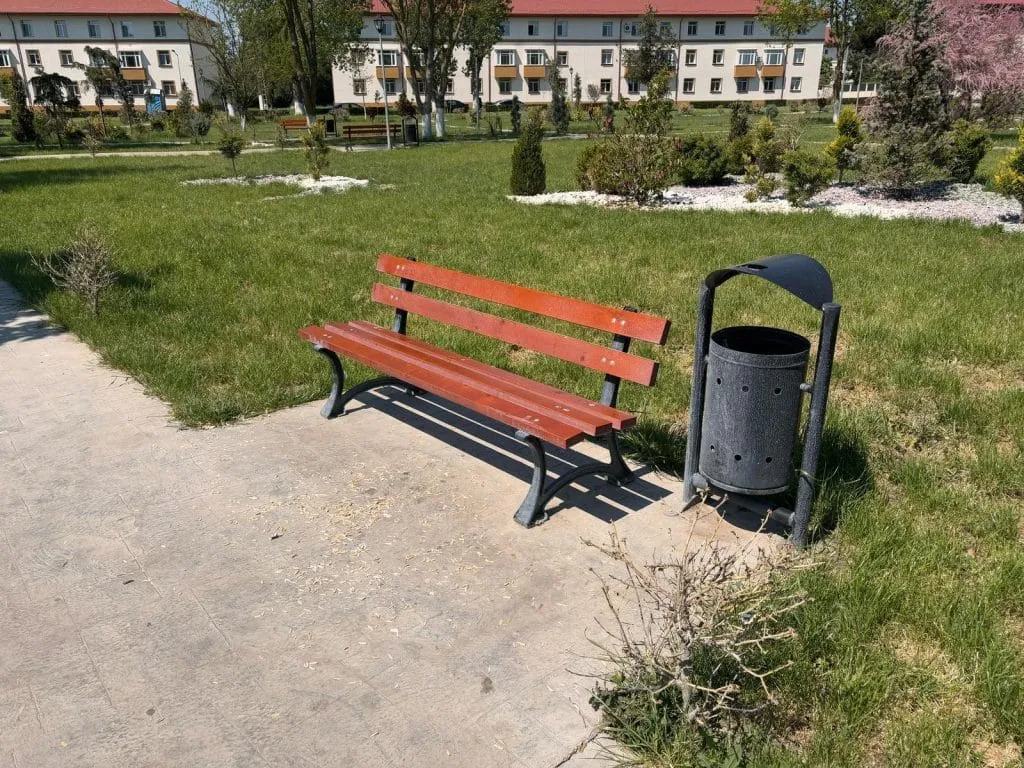 Pierdut bun simț. Găsit din abundență… coji de semințe!  – foto 4