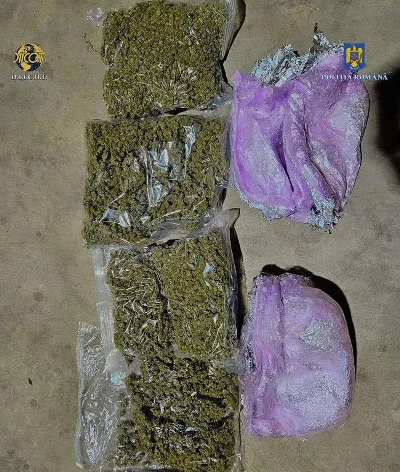 Prins în flagrant cu peste 2,2 kilograme de cannabis, livrate prin curierat din Spania (FOTO) – foto 6