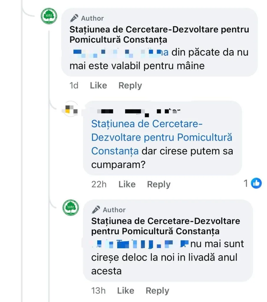 La cireșe, varianta locală – fără Nică – la Agigea. Dar cu aglomerație mare, mon cher! (FOTO) – foto 7