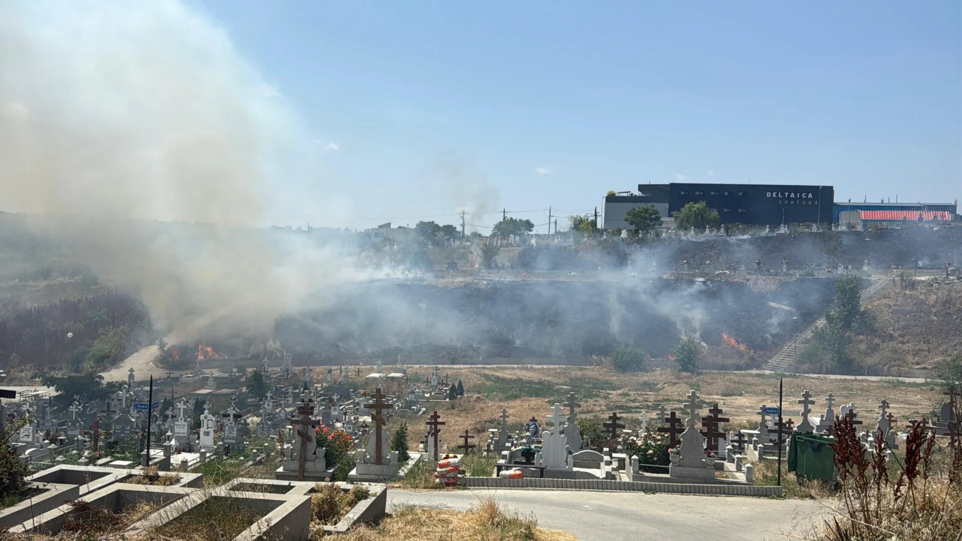 Incendiu în cimitirul din Tulcea. Intervenție rapidă a pompierilor