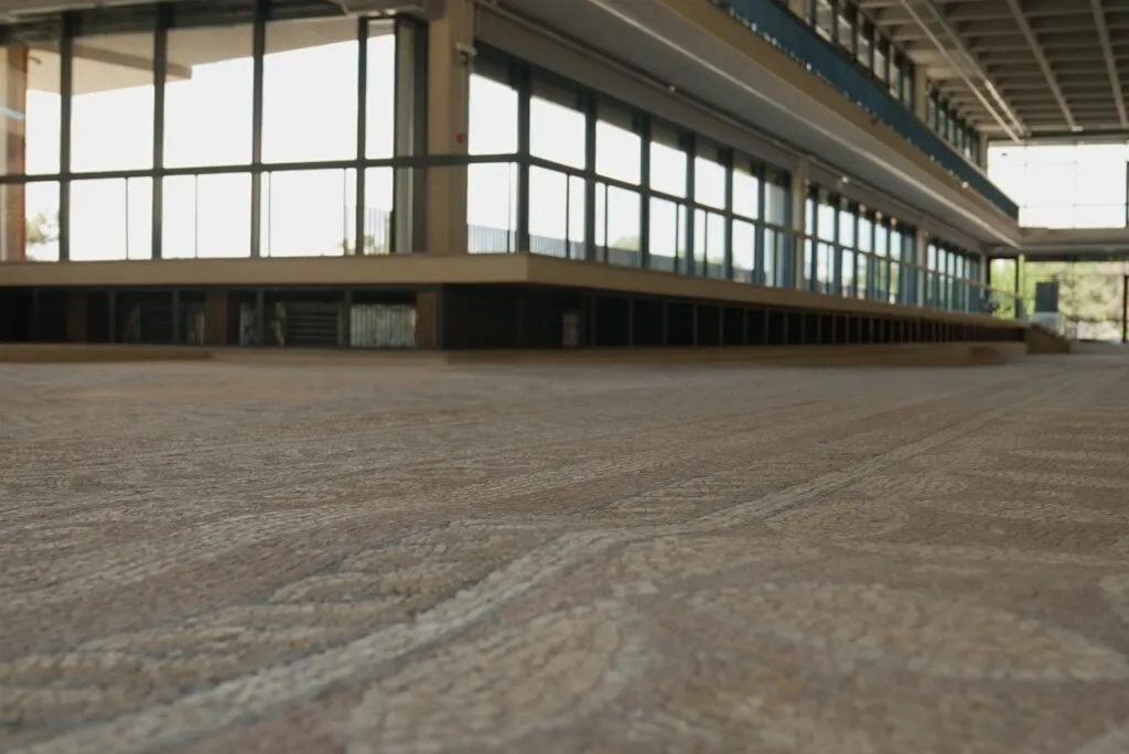 Edificiul roman cu mozaic își va redeschide porțile pentru publicul larg (FOTO) – foto 5