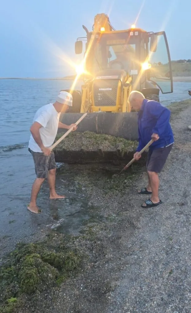 Alge la mal? Nu peste tot. Iată cum să evitați zonele cu „ape verzi” (FOTO) – foto 7