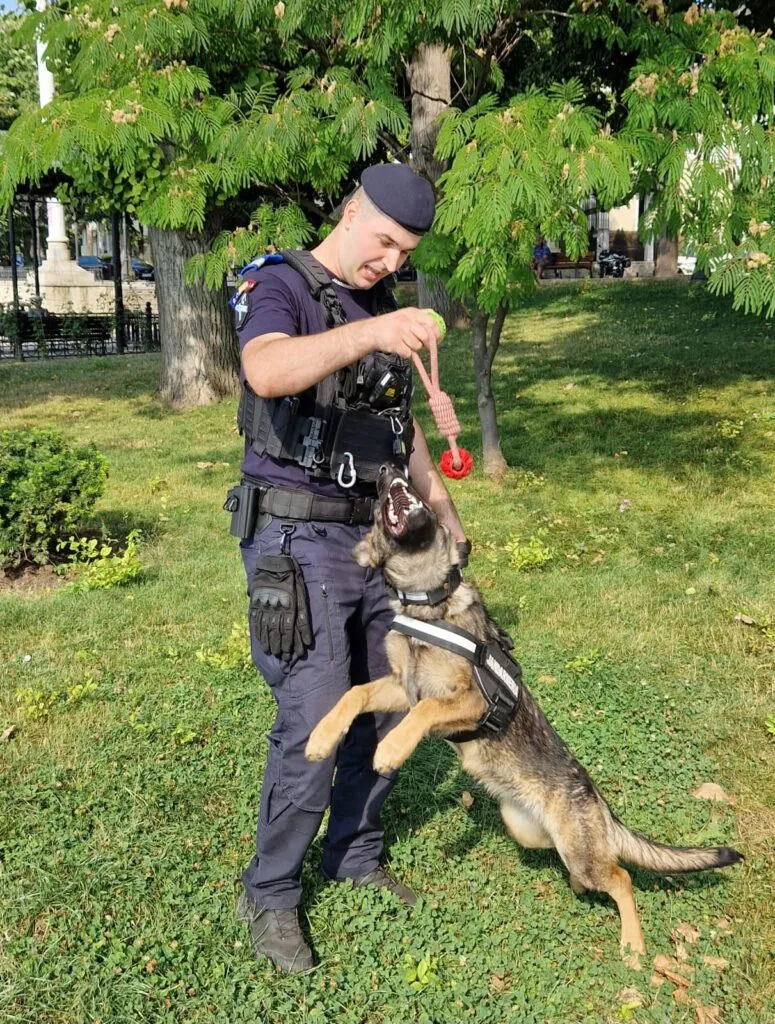 Aria, cel mai nou membru al echipei de jandarmi din Constanța (FOTO) – foto 3