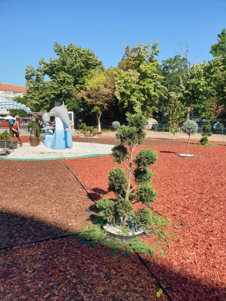 Decor de poveste în curtea Microrezervației – foto 3