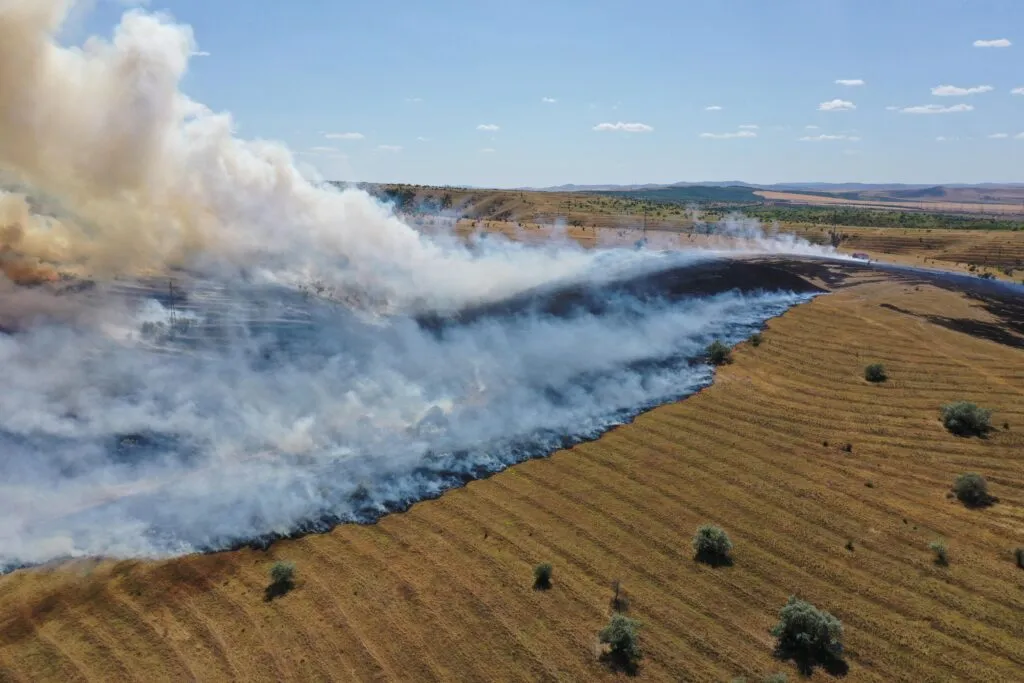 UPDATE: Stână din Tulcea, cuprinsă de flăcări. Focarul a ajuns la marginea municipiului, motiv pentru care au fost suplimentate efectivele de pompieri – foto 2