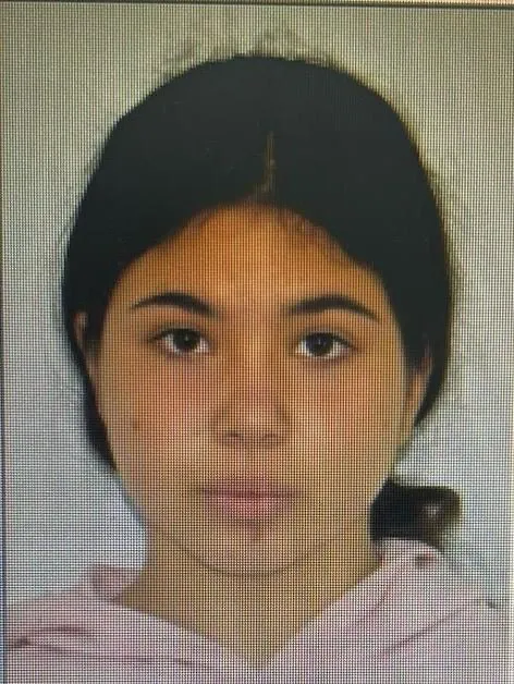 Patru adolescente, date dispărute după ce au plecat din centre de plasament din Constanța – foto 5