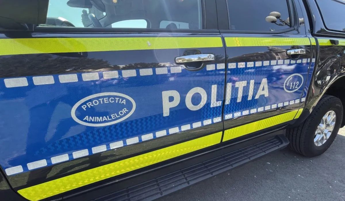 Percheziții de amploare în Medgidia într-un dosar de furt