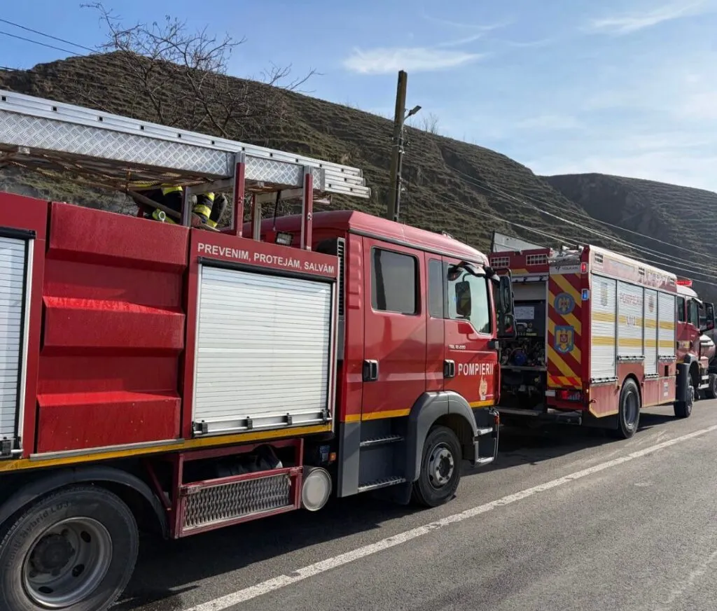 Intervenție a pompierilor în Ostrov. Locuință distrusă de foc – foto 3