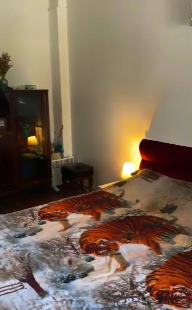 În centrul Constanței există un apartament care arată ca o vilă. Iar acum este de vânzare – foto 4