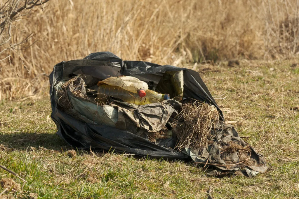 Acțiune de igienizare la Sulina: O tonă de deșeuri, adunată într-o zi (FOTO) – foto 4