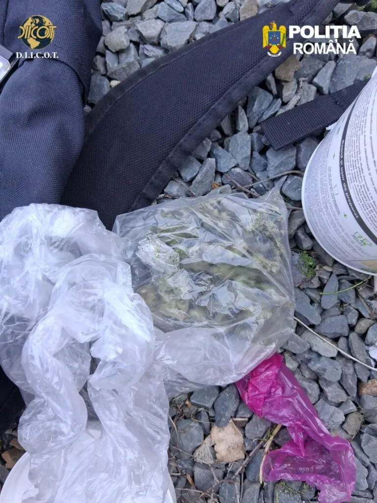 Afacere cu droguri, descoperită de polițiști la Constanța. Cinci tineri, încătușați – foto 3