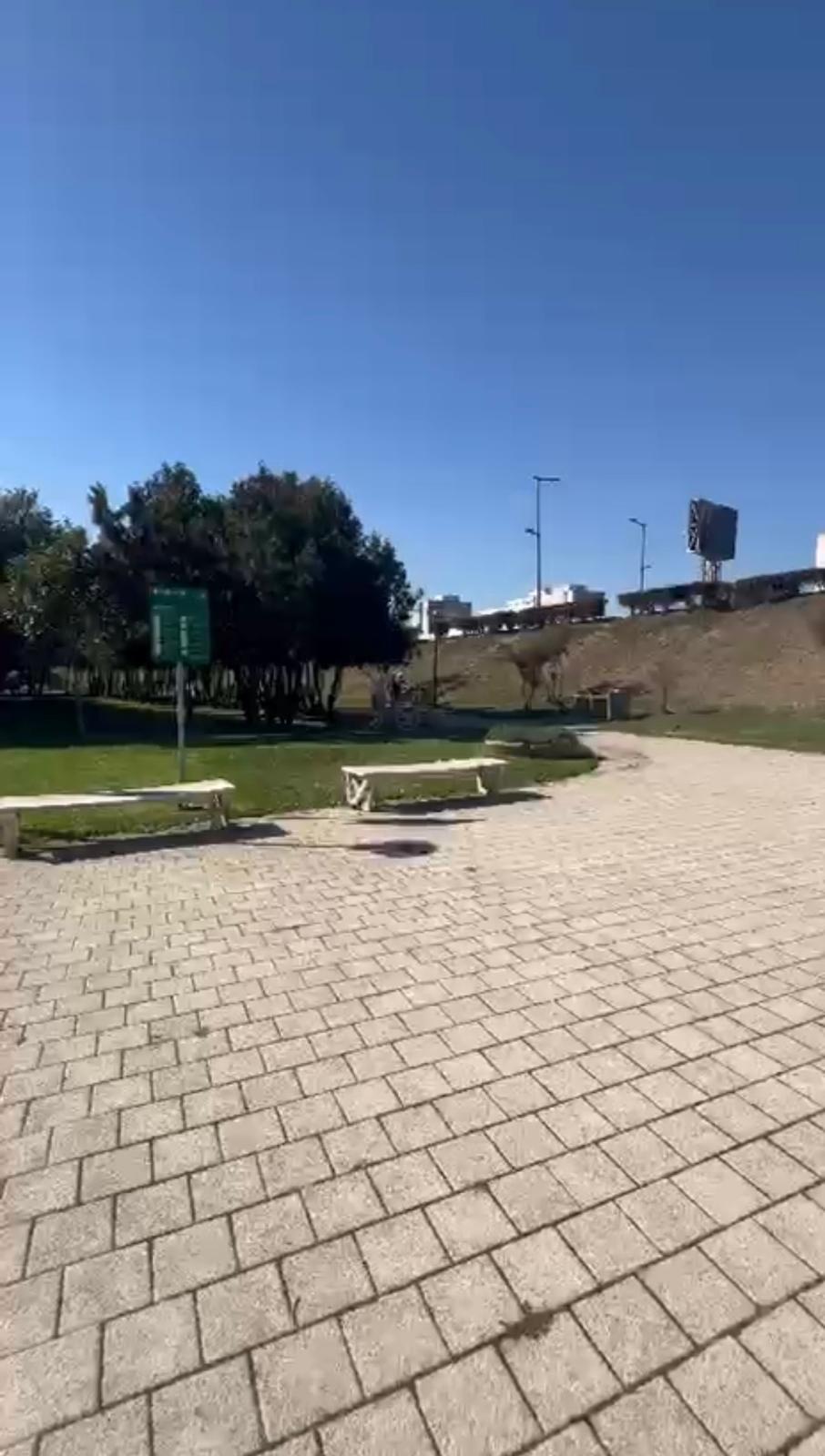 Grătare, apă curentă și foișoare, într-un parc din Dobrogea. Nu, nu este la Constanța – foto 11