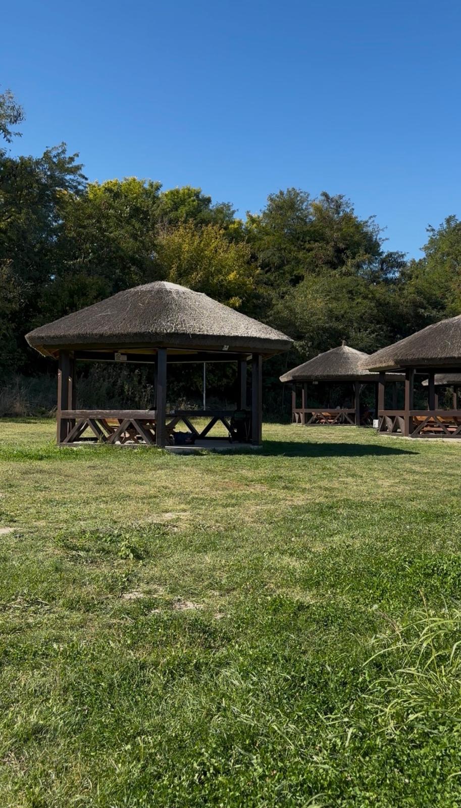 Grătare, apă curentă și foișoare, într-un parc din Dobrogea. Nu, nu este la Constanța – foto 6