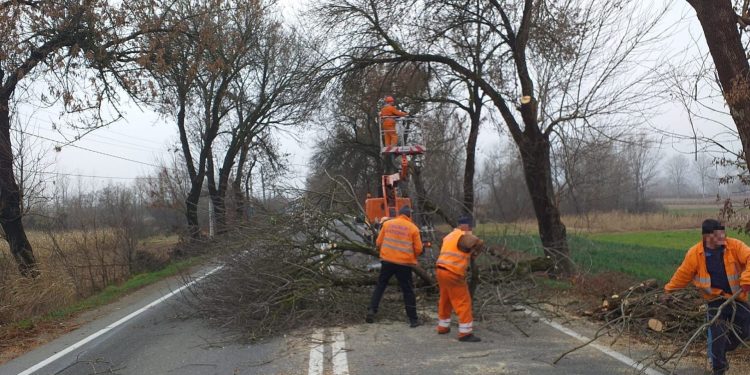 sursa foto: facebook cnair