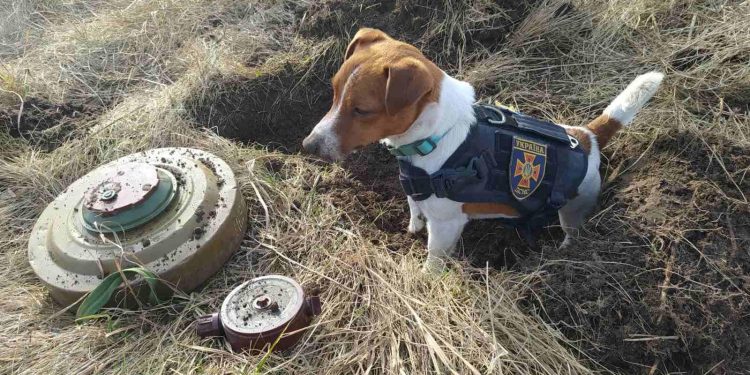 Sursa foto: Facebook - ДСНС України / State Emergency Service of Ukraine