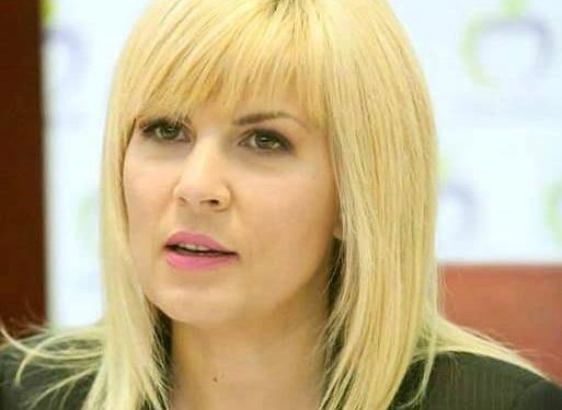 Sursa foto: Facebook - Elena Udrea