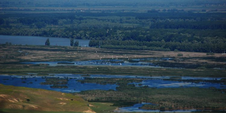 Sursă foto: Facebook - ARBDD - Administratia Rezervatiei Biosferei Delta Dunarii