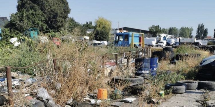 Sursa foto: Facebook - Garda de Mediu Constanța