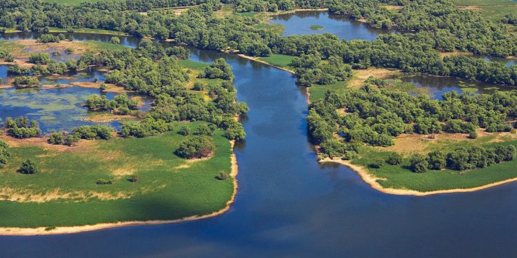 Sursă foto: Facebook - ARBDD - Administratia Rezervatiei Biosferei Delta Dunarii