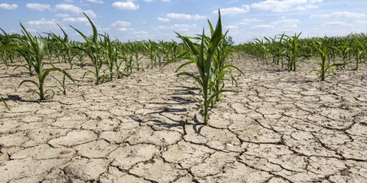 Sursă foto: Facebook - Ministerul Agriculturii și Dezvoltării Rurale