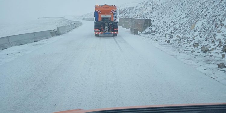 Sursa foto: Facebook - DRDP Timișoara