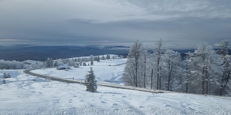 Sursa foto: DRDP Craiova