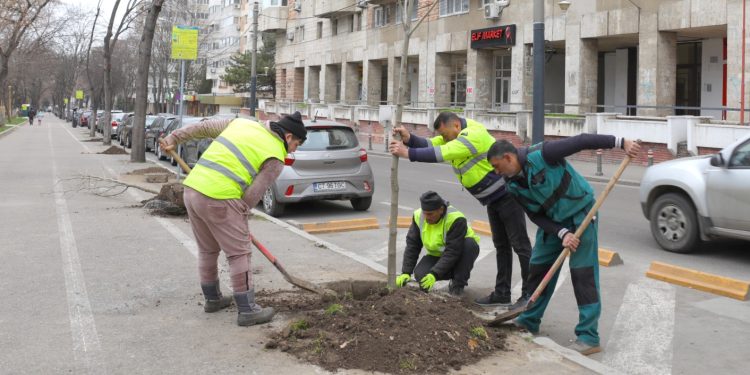 Sursa foto: Primăria Constanța