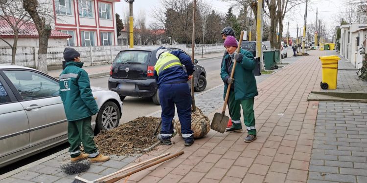 Sursa foto: Primăria Municipiul Constanța