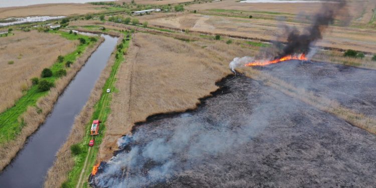 Sursă foto: ISU Tulcea