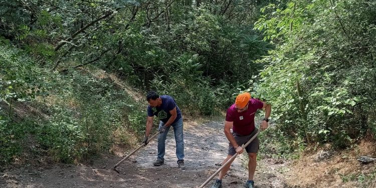 sursa foto: Primăria municipiului Tulcea- facebook