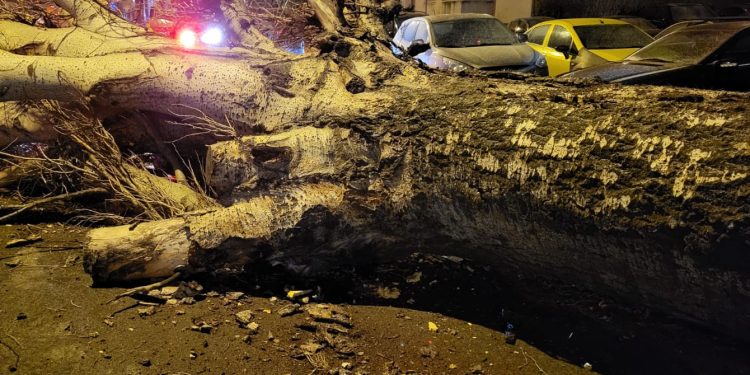 Sursă foto: ISU Constanța (fotografie cu rol ilustrativ)