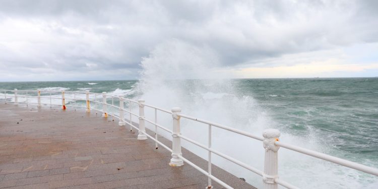 Sursă foto: Primăria Constanţa