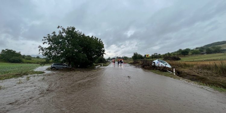 sursa foto: ISU Delta Tulcea