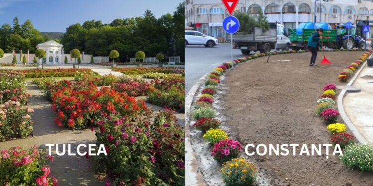 Sursa foto: Primăria Municipiului Tulcea/Primăria Municipiului Constanța (colaj)