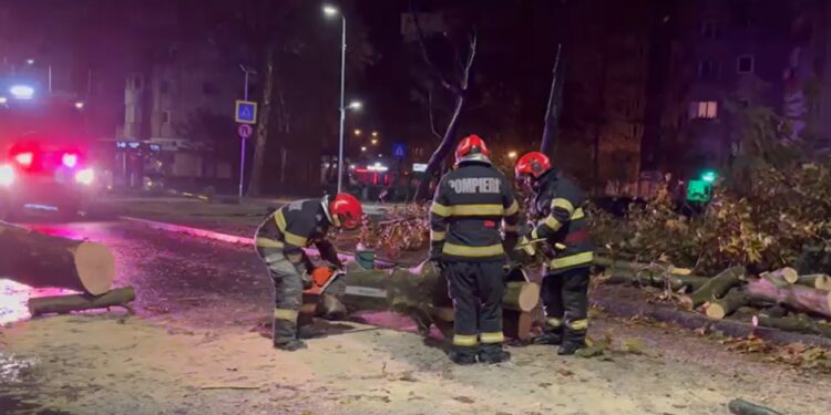 Sursă foto: ISU Constanța (captură video)